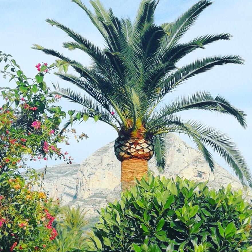 Apartment Paca Jávea Eksteriør bilde